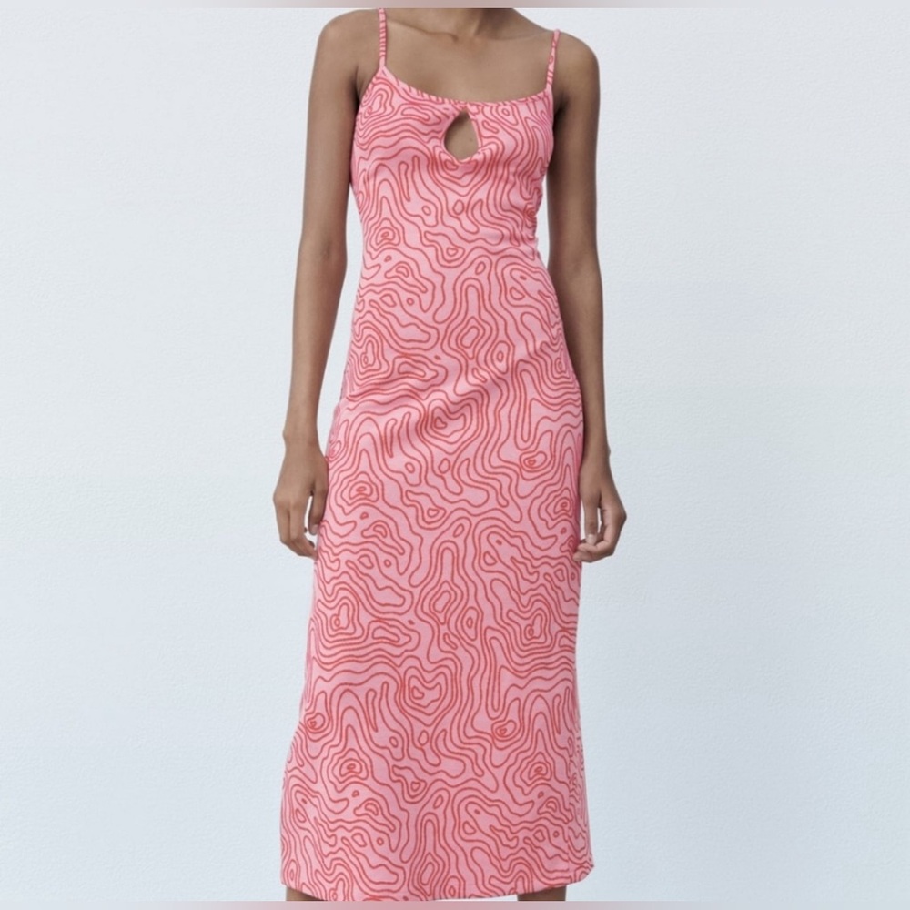 Zara Printed Midi Dress